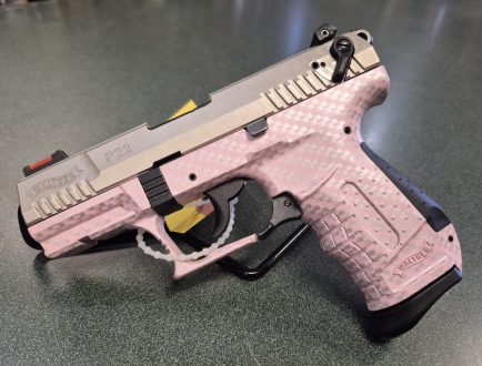 Walther P22 semi 22 lr with a 3 3/8" barrel, box and 2 mags $295